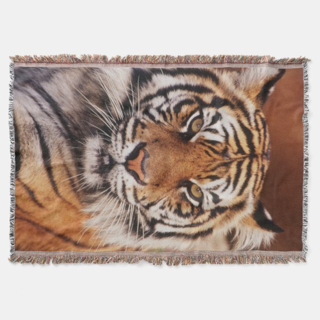 Couverture Tigre de Sumatra (Devant)