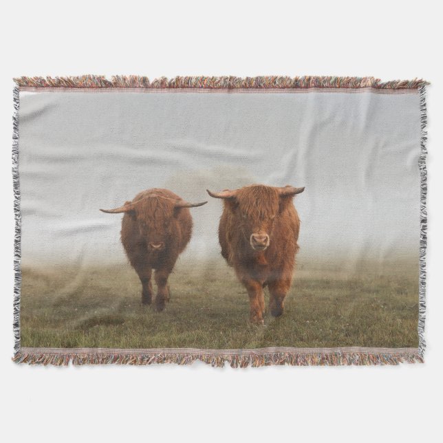Couverture tissée Highland Cow (Devant)