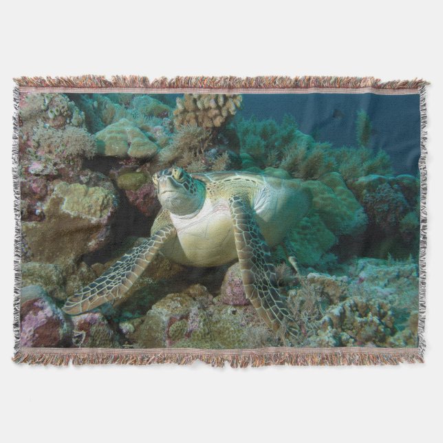 Couverture Tortue verte de mer après s'être reposée parmi le  (Devant)