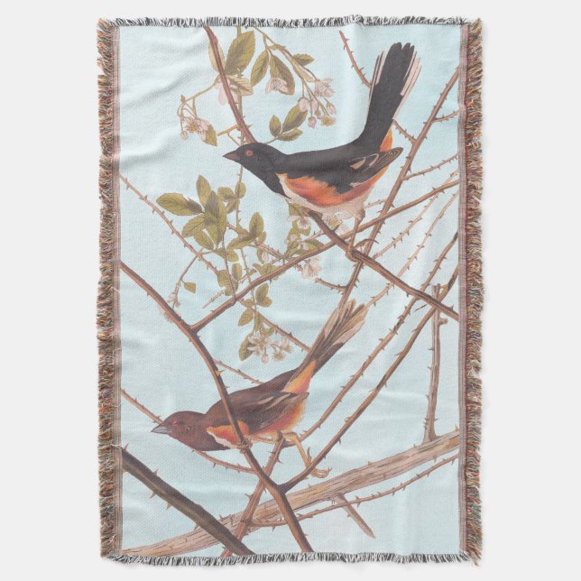 Couverture Towee Bunting Audubon Black and Orange Song Birds (devant Vertical)