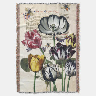 Couverture Tulipes antiques