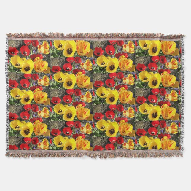Couverture Tulipes jaunes et rouges (Devant)