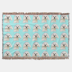 Couverture Tzu de Shih, maltais, chiot de Bichon Frise sur le