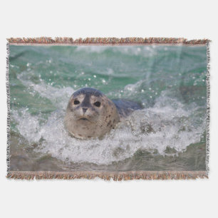 Couverture Un bébé phoque surfant