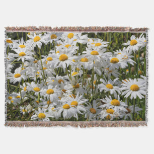 Couverture Un champ de marguerites oculaires lors d'une journ