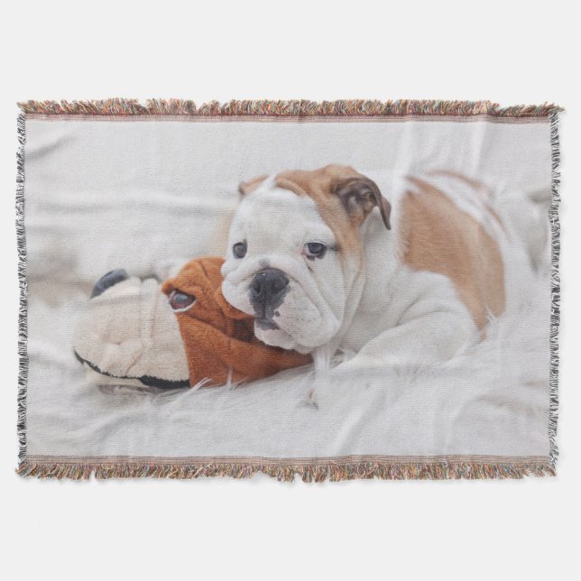 Couverture Un chiot anglais de bouledogue jouant avec un (Devant)