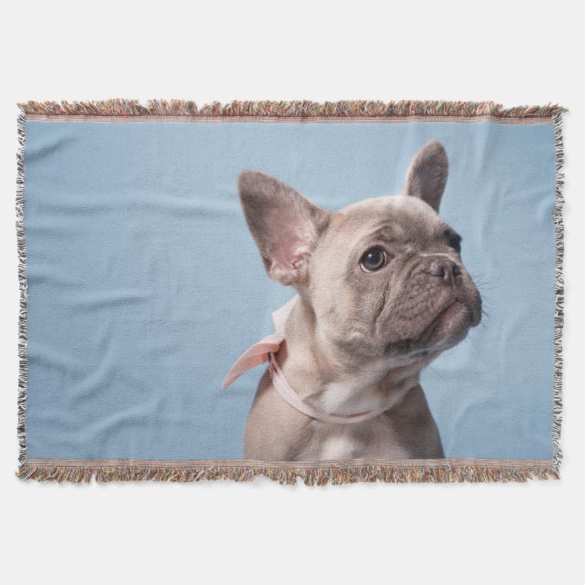 Couverture Un joli chien de taureau français (Devant)