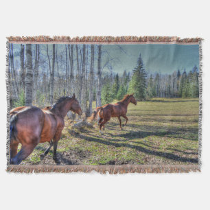 Couverture Un troupeau de chevaux sur un Ranch BC 3