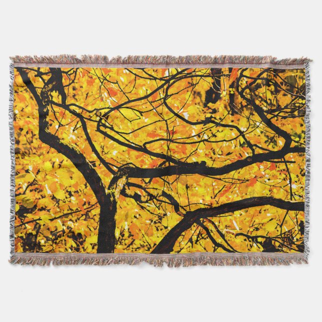 Couverture Veines D'Or De L'Automne (Devant)