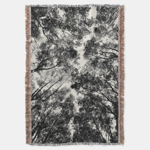 Couverture Vers le haut de par les arbres, images de SVP de