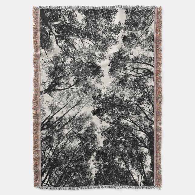 Couverture Vers le haut de par les arbres, images de SVP de (devant Vertical)