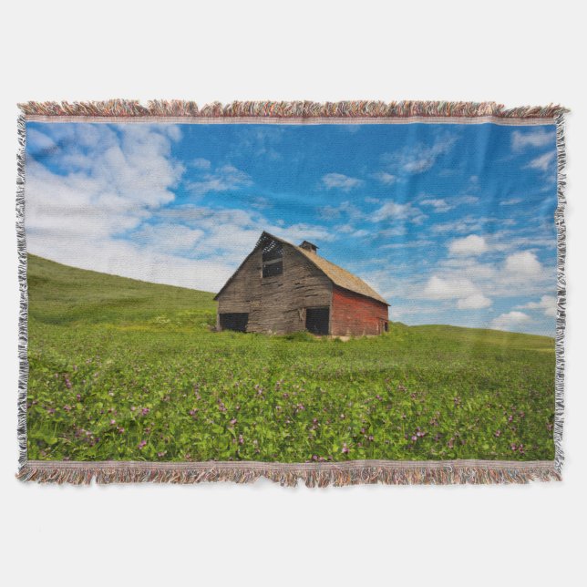 Couverture Vieille grange rouge dans un champ de pois chiches (Devant)