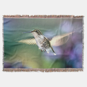 Couverture Vol de colibri