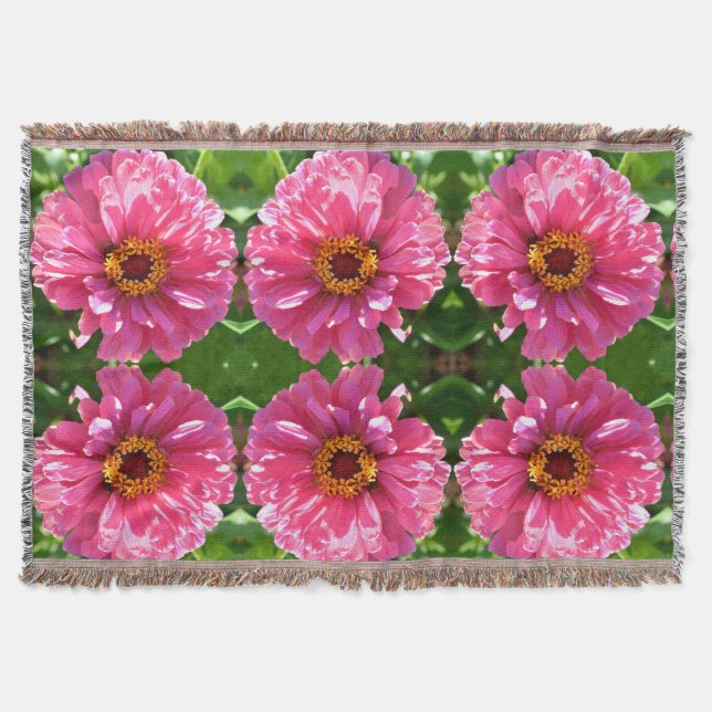 Couverture Zinnia rose (Devant)