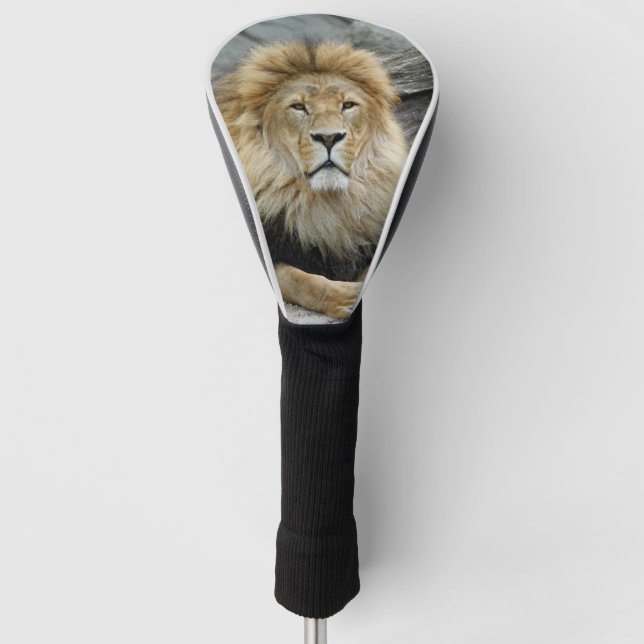Couvre-club De Golf 2023-02 Lion (Devant)