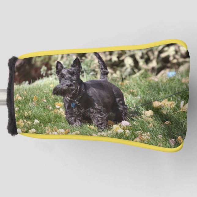 Couvre-club De Golf Ach (Devant)