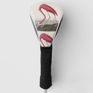 Couvre-club De Golf Art vintage Audubon du Flamant rose américain