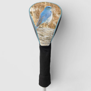 Couvre-club De Golf Beau oiseau bleu de montagne