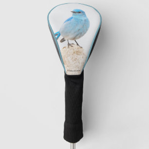 Couvre-club De Golf Beau oiseau bleu de montagne sur un moignon