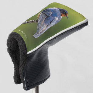 Couvre-club De Golf Beau oiseau-chanteur d'hirondelle de grange sur un