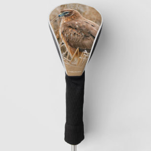 Couvre-club De Golf Beautiful Harrier Hawk in the Marsh