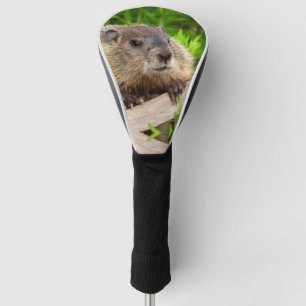 Couvre-club De Golf Bébé adorable Marmotte de fond / marmotte de bois