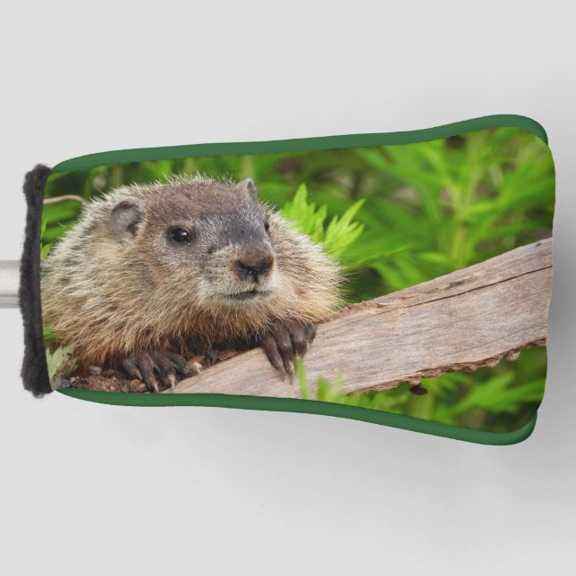 Couvre-club De Golf Bébé adorable Marmotte de fond / marmotte de bois  (Devant)