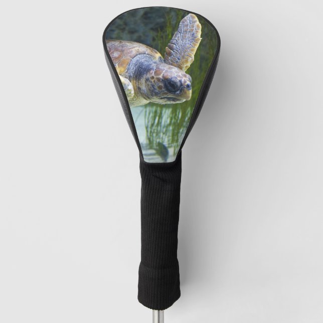 Couvre-club De Golf Belle natation de tortue marine (Devant)