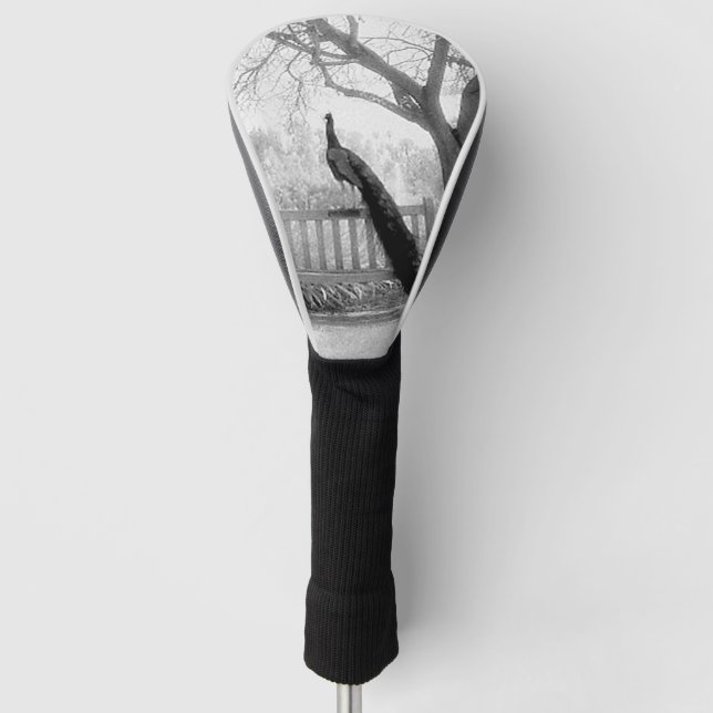 Couvre-club De Golf Bench Peacock (Devant)