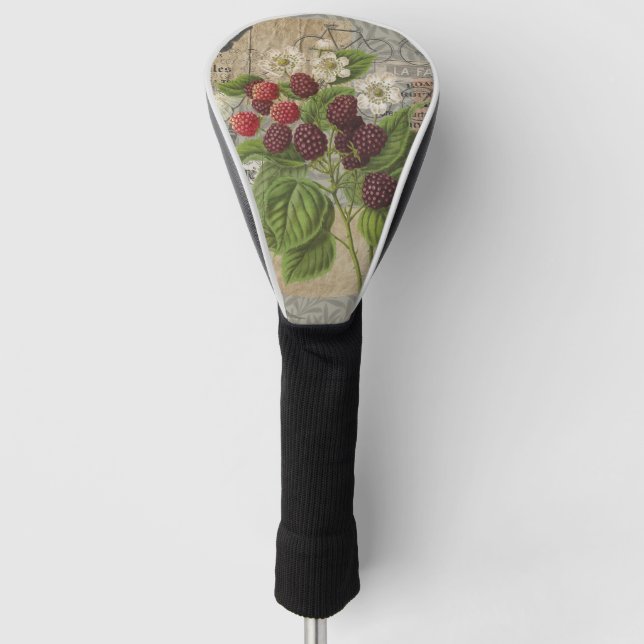 Couvre-club De Golf Blackberries Floral Garden Flower Papillon Art (Devant)