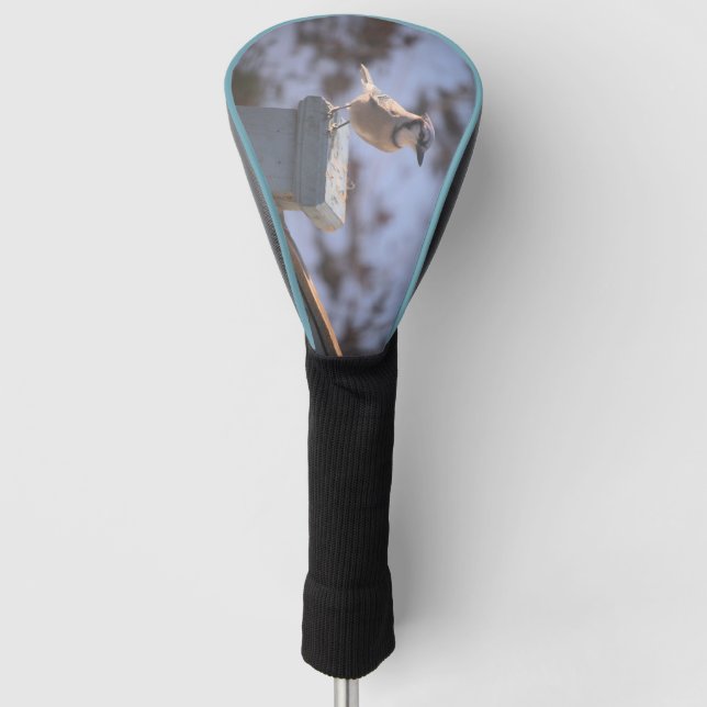 Couvre-club De Golf Blue Jay (Devant)