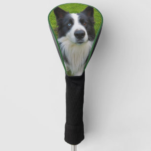 Couvre-club De Golf Bordure Collie