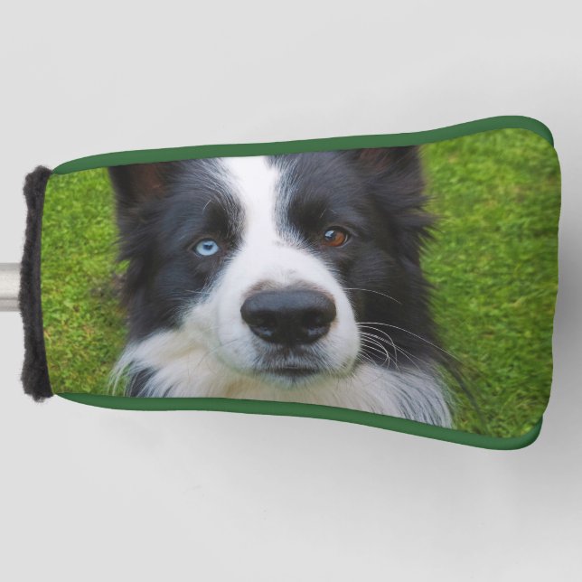 Couvre-club De Golf Bordure Collie Golf Head Couverture (Devant)
