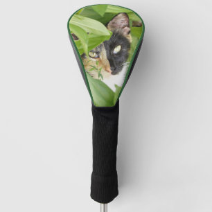 Couvre-club De Golf Calico Cat dans le Zinnias Golf