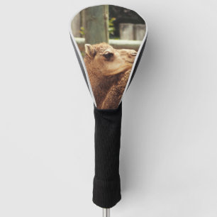 Couvre-club De Golf Camel
