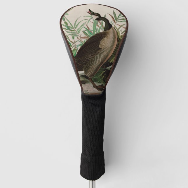Couvre-club De Golf Canada Goose Birds of America Audubon Imprimer (Devant)