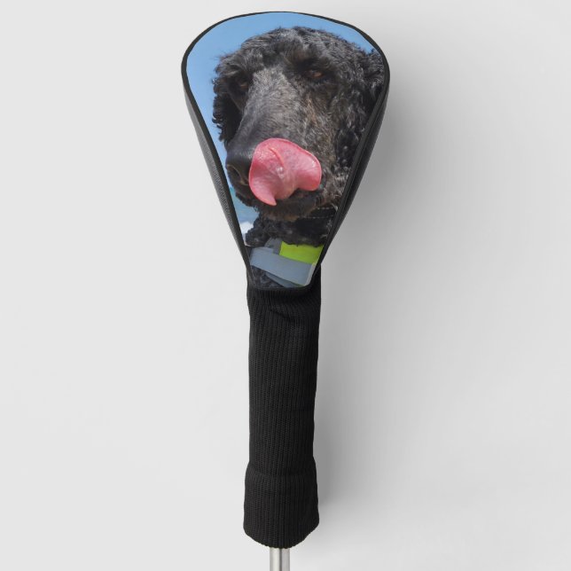 Couvre-club De Golf Caniche standard (Devant)