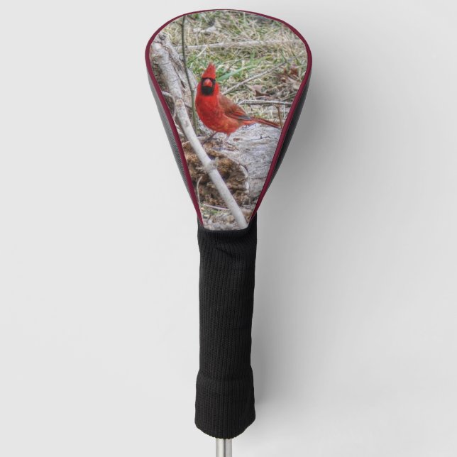 Couvre-club De Golf Cardinal vibrant (Devant)
