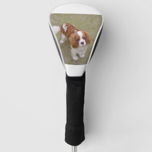 Couvre-club De Golf Cavalier-roi-spaniel plein
