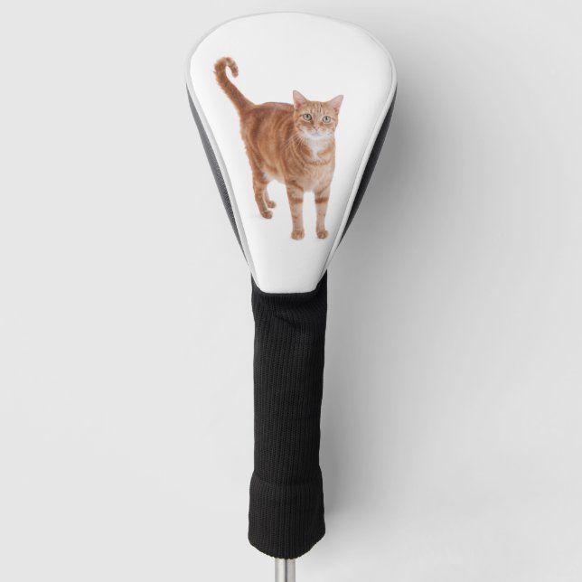 Couvre-club De Golf Chat Tabby Orange (Devant)