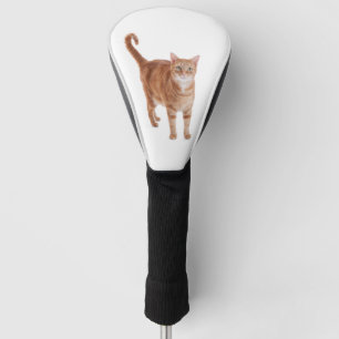 Couvre-club De Golf Chat tigré orange