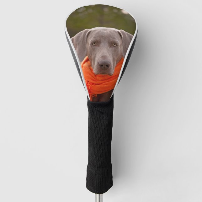 Couvre-club De Golf Chien Weimaraner Écharpe Animal Canine (Devant)