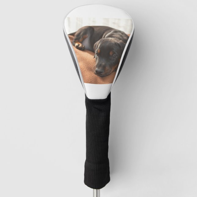 Couvre-club De Golf chiot doberman-pinscher (Devant)