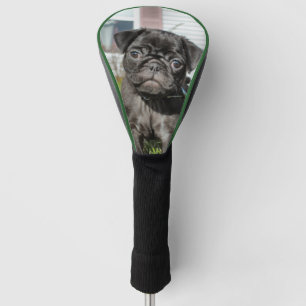 Couvre-club De Golf Chiot en Carlin noir