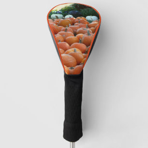 Couvre-club De Golf Citrouilles et Chrysanthèmes Photographie de la ré