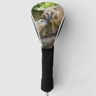 Couvre-club De Golf Coati Pup partage un moment d'appel d'offres avec