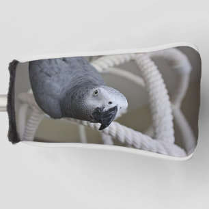 Couvre-club De Golf Congo African Grey Parrot Avoir du plaisir