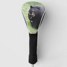 Couverture de la tête de golf de l'ours noir