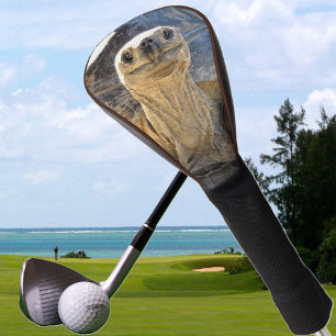 Couvre-club De Golf Couverture de la tête de golf de Tortoise