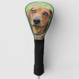 Couvre-club De Golf Dachshund